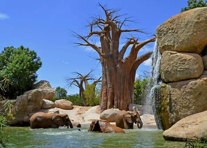 Bioparc Metro Valencia