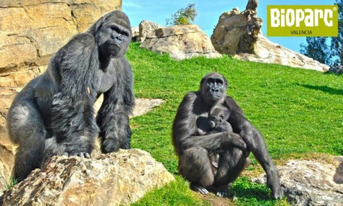 Appartamento Bioparc Metro Valenza